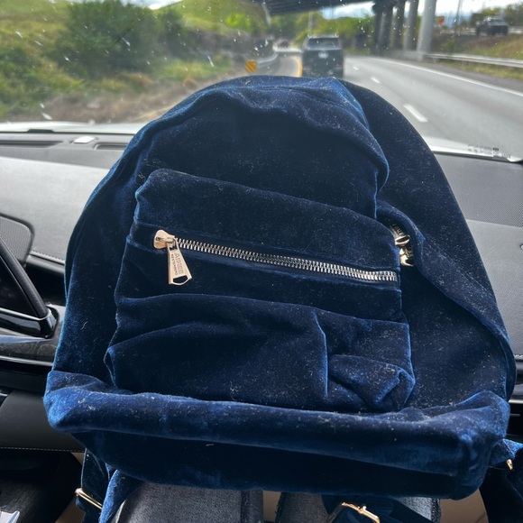 Aimee Kestenberg ~ Velvet Woodside Royal Blue ~ Backpack purse! - Picture 7 of 17